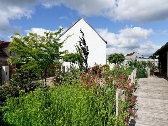 Le Petit Jardin