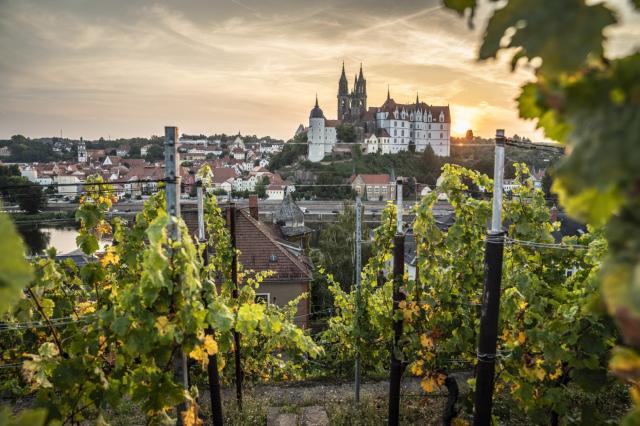 Goldenes Fass Meißen