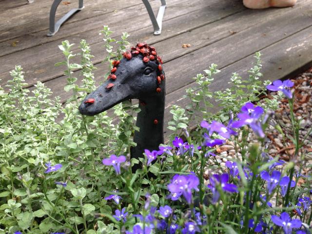 Pension Zum alten Gasthaus Hänsel