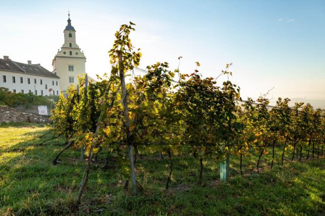 AndersOrt Haus der Frauen - Bildung Spiritualität Auszeit 