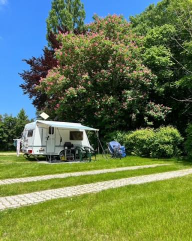 6m bell tent 20'/6m Canvas Color:Clown Compass A bell tent with CheckoutTitle=Chromag Pilot / Pilot BA POC, POCito Opsin goggles