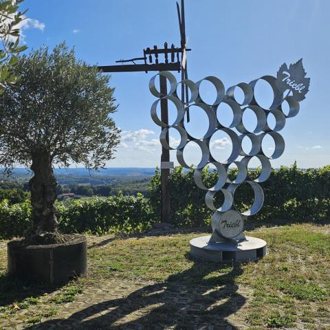 Ferienhaus Weingut Triebl