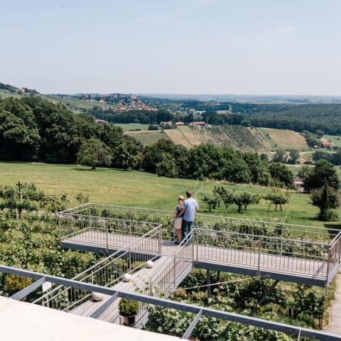 Ferienhaus Weingut Triebl